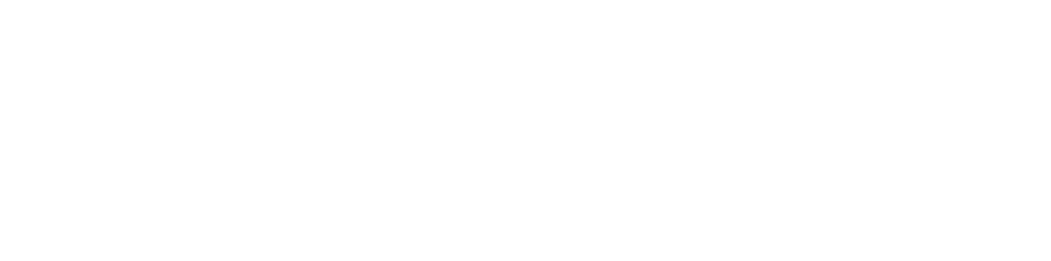 Allison Park Leadership Academy