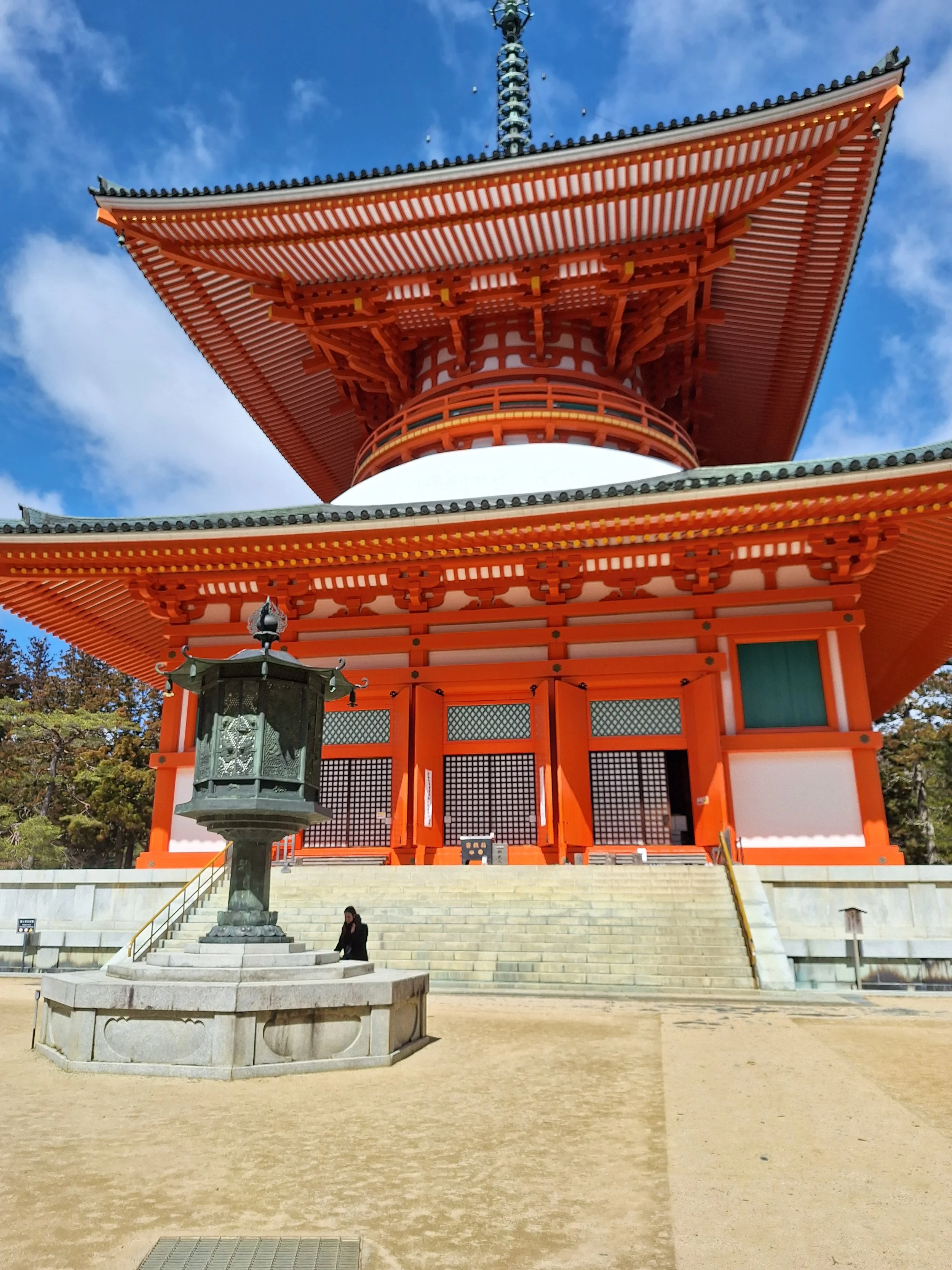 Sally returns from Japanese Adventure
