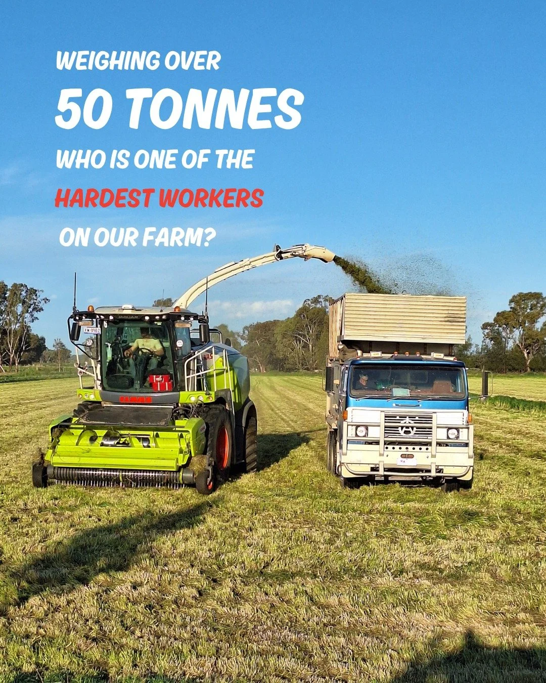 Surprising dairy farming fact incoming...