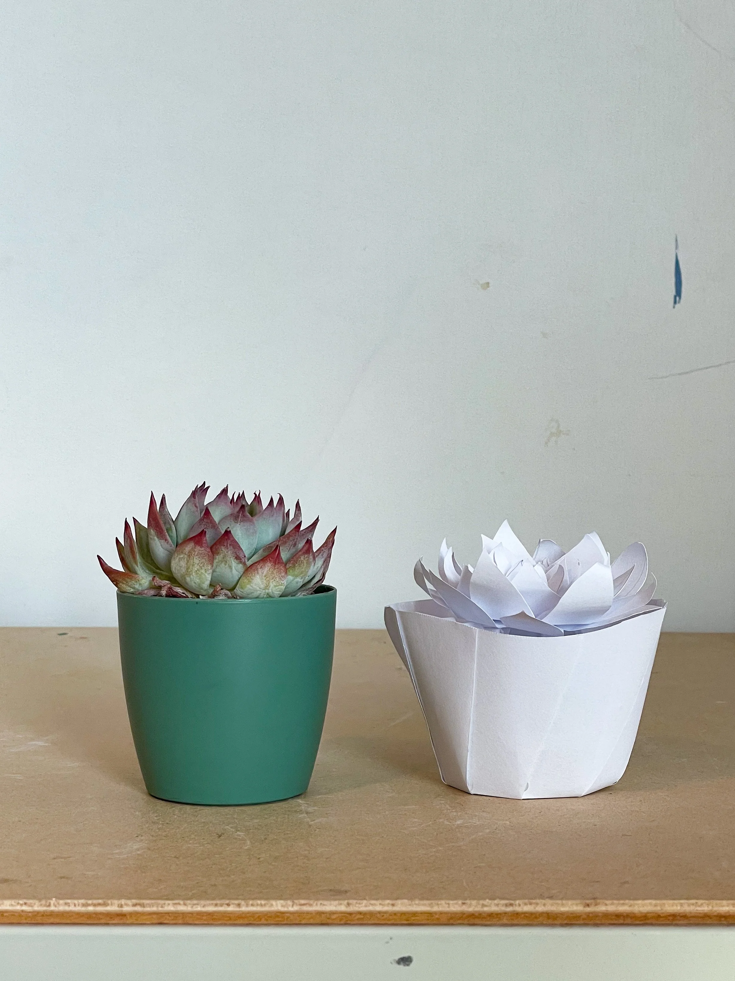 End Term Presentation_Anwyn Howarth-2075.jpg