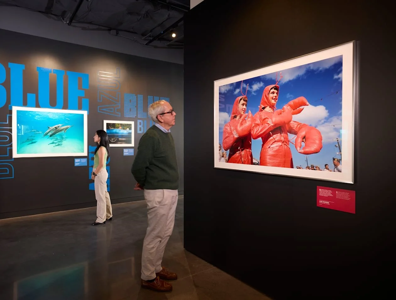 Red, White &amp; Blue: Photographs of the United States
