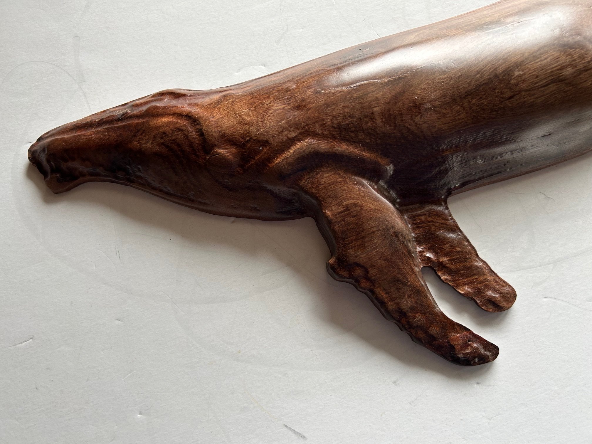 ohia whale closeup.jpeg