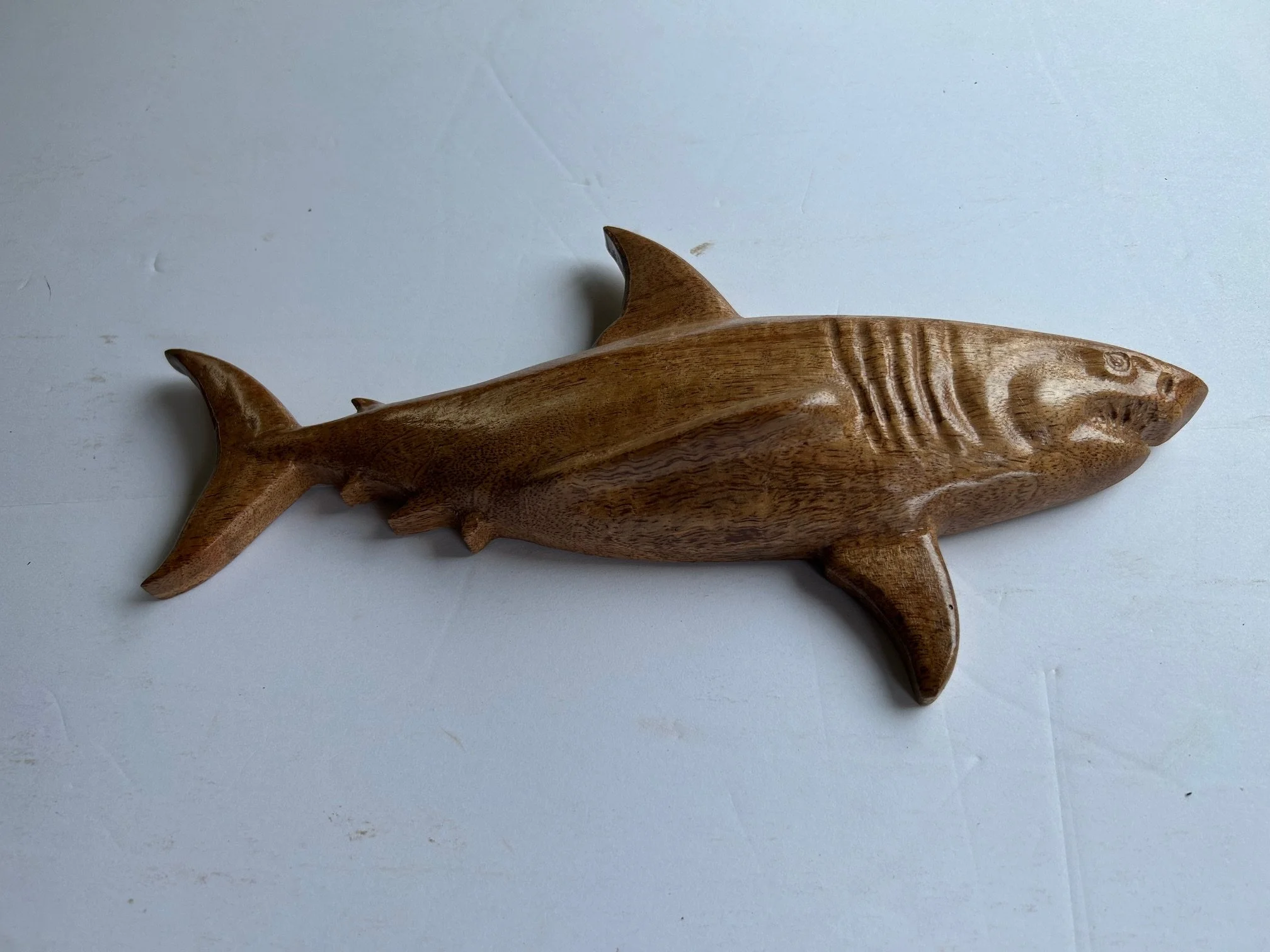 mango shark.jpg