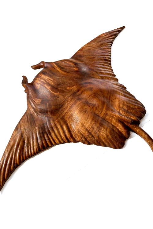 MANTA RAY!