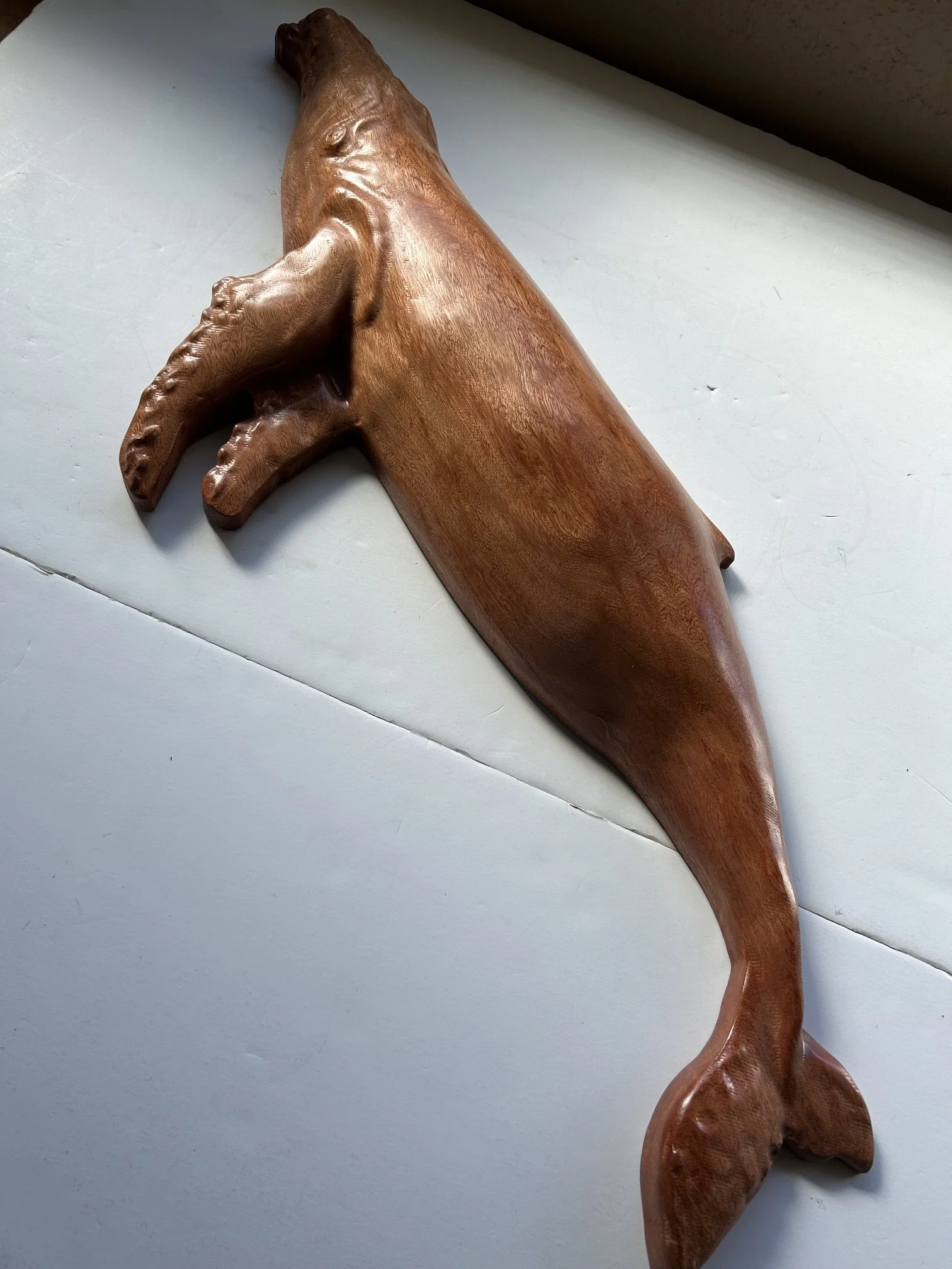1200 monkeypod whale.jpeg