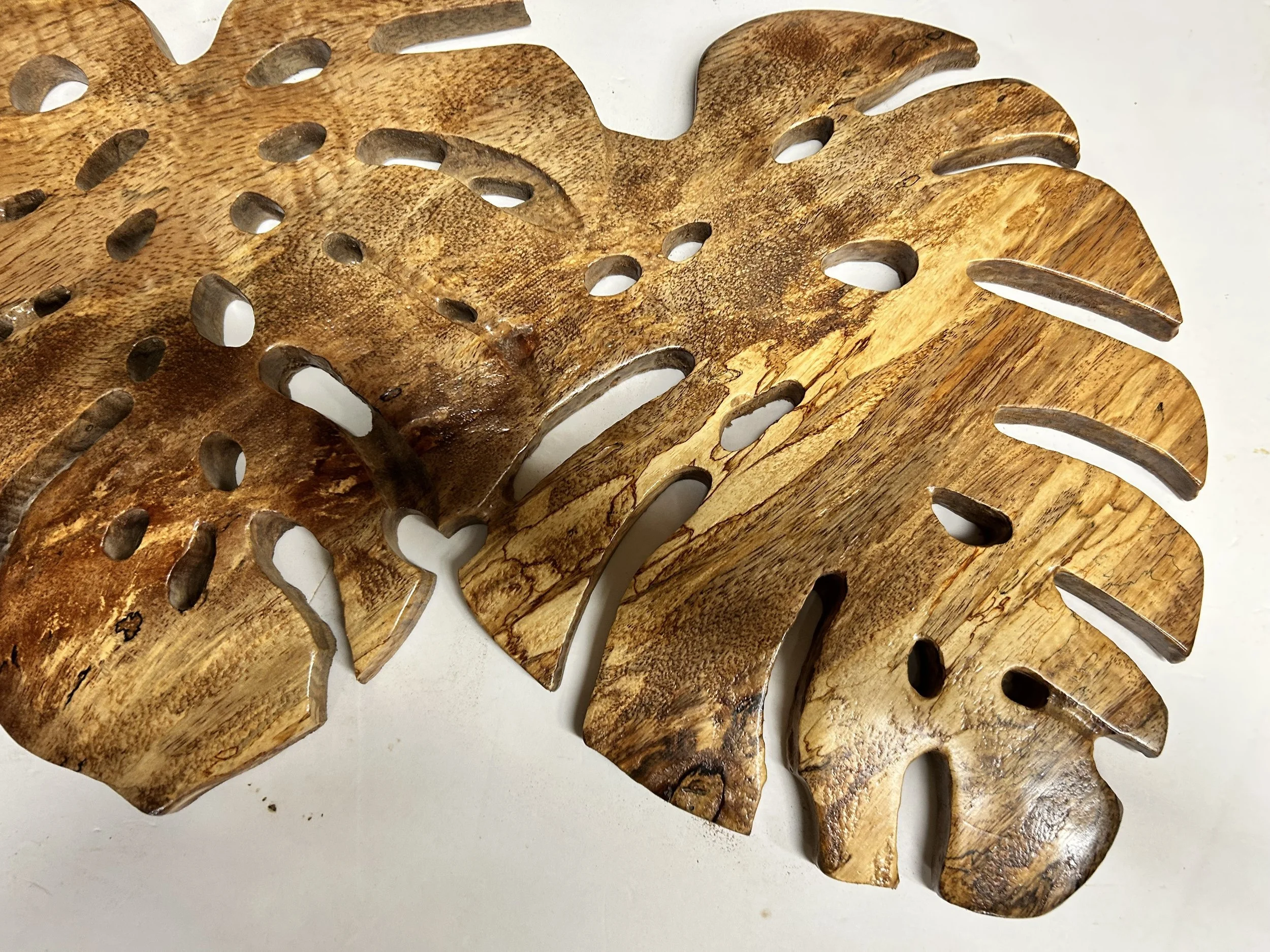 monstera closeup.jpeg