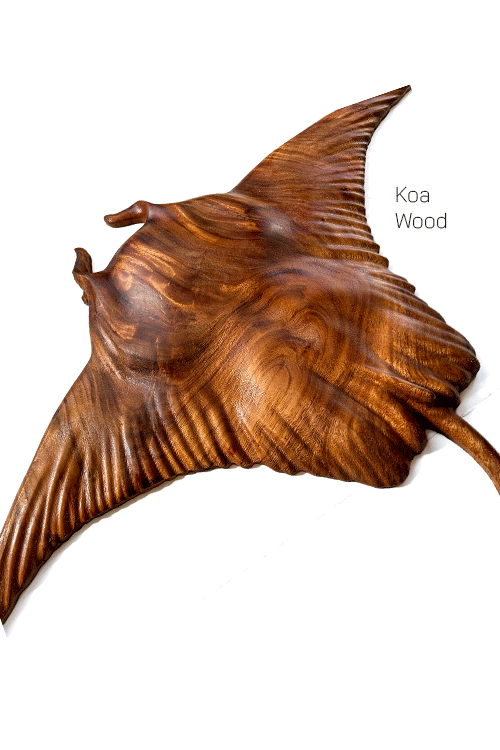 Manta-Ray-Koa.gif