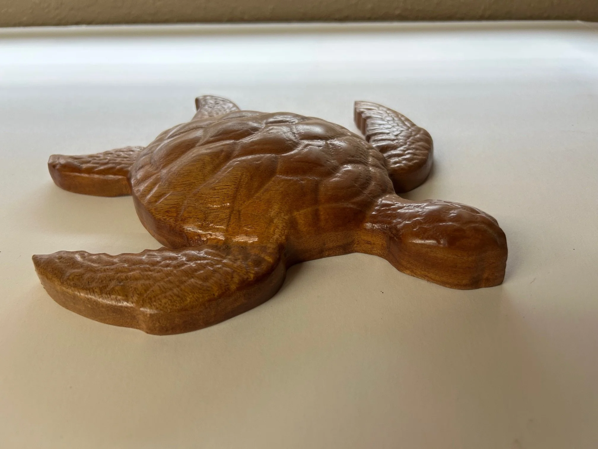 turtle2.jpg