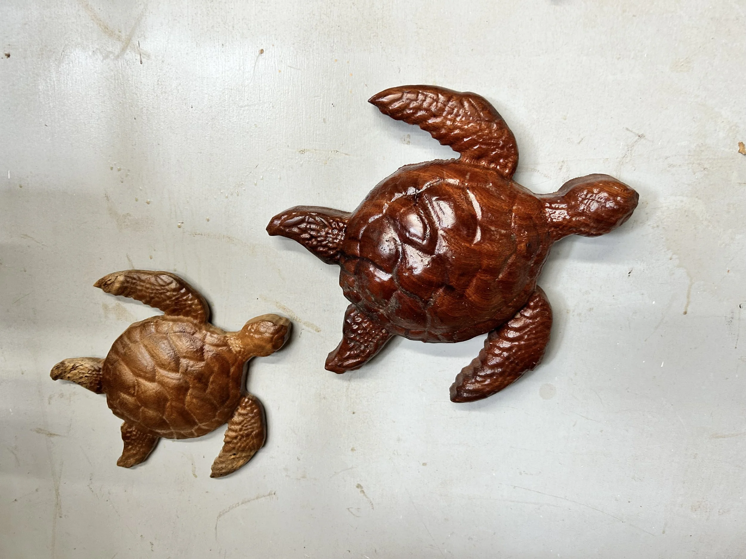 Swimming Turtle