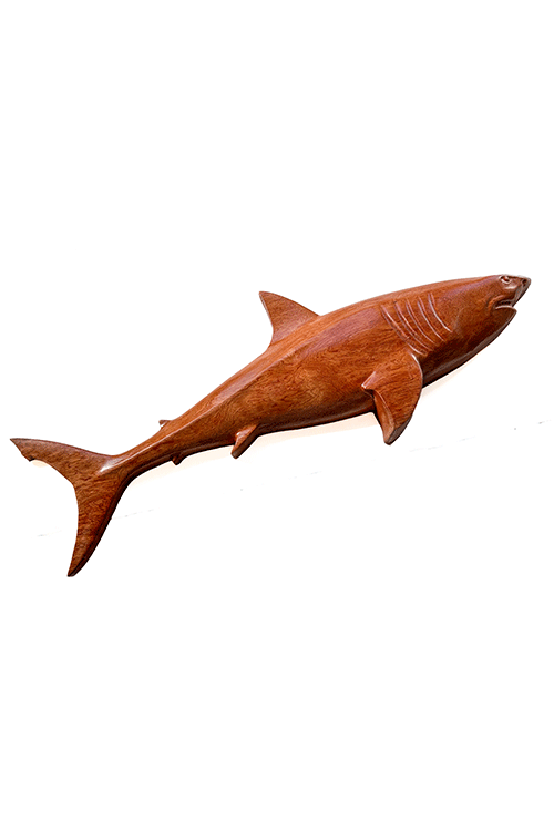 SHARK!