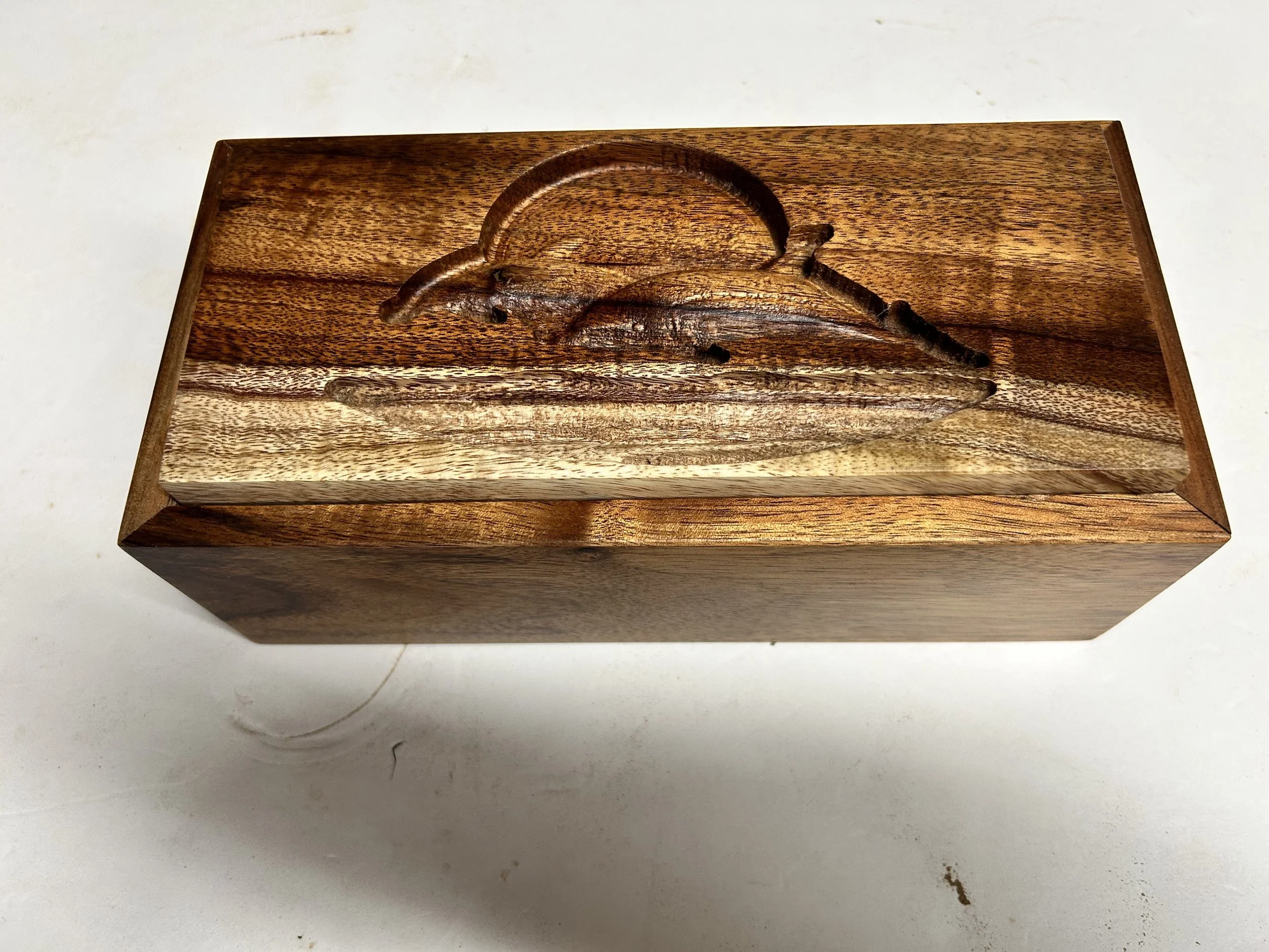 dolphin box.jpeg