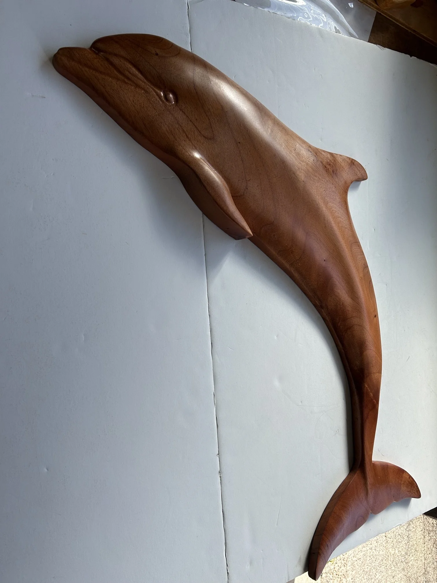 dolphin.jpeg