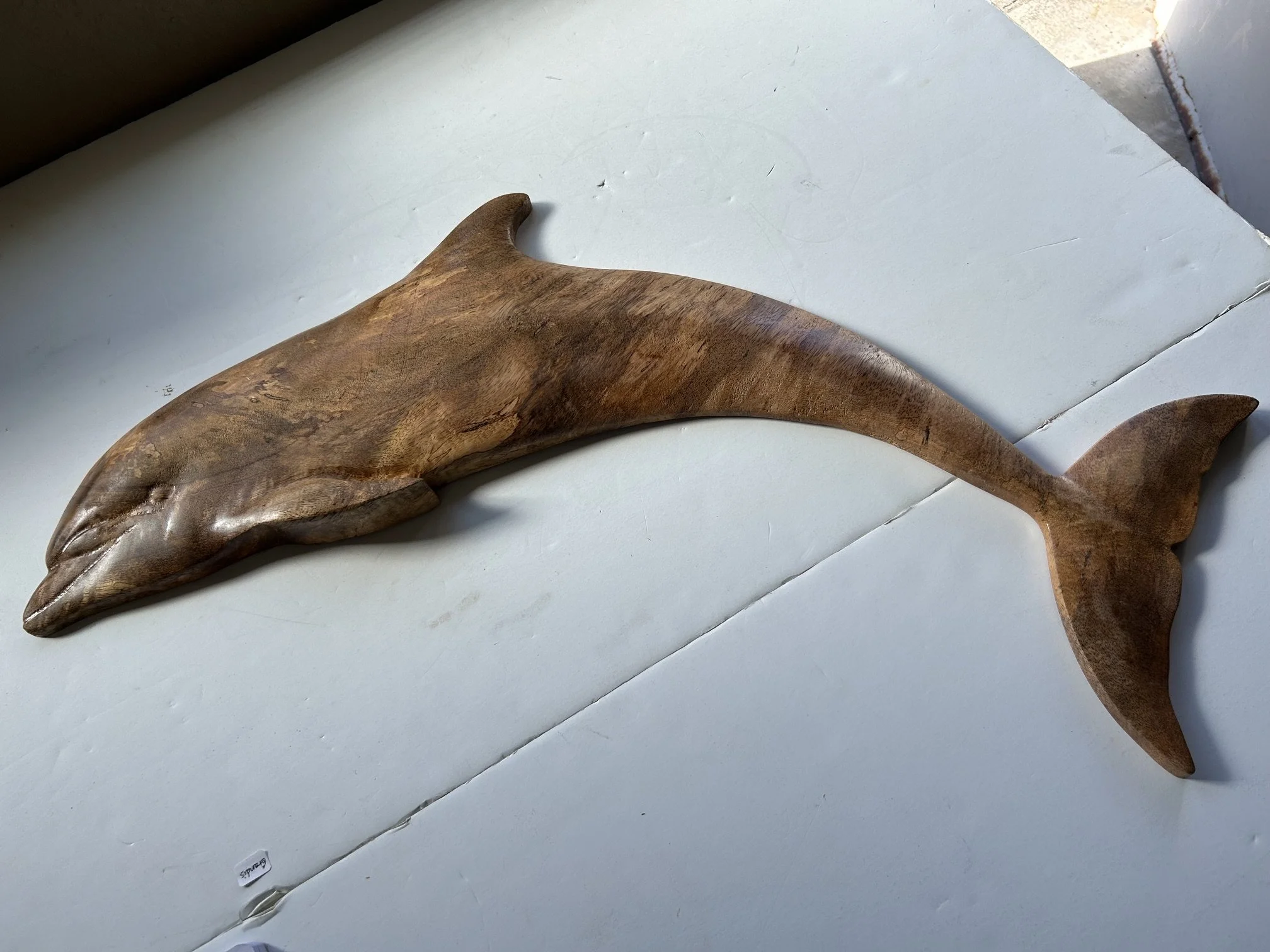 mango dolphin2.jpeg