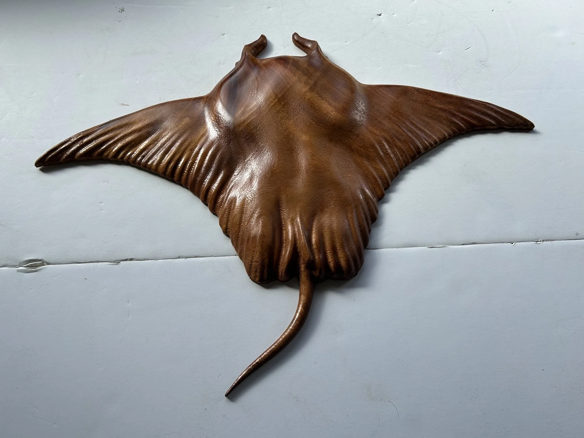 850 manta2.jpeg