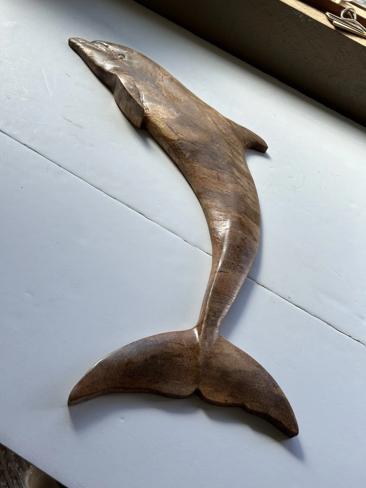 mango dolphin.jpeg