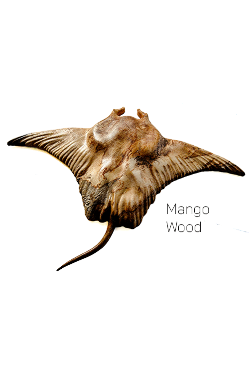 Manta-Ray-Mango.gif
