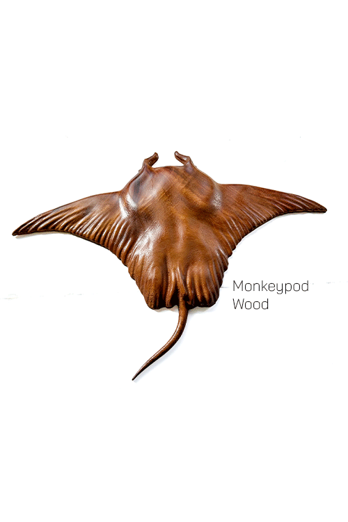 Manta-Ray-MkP.gif