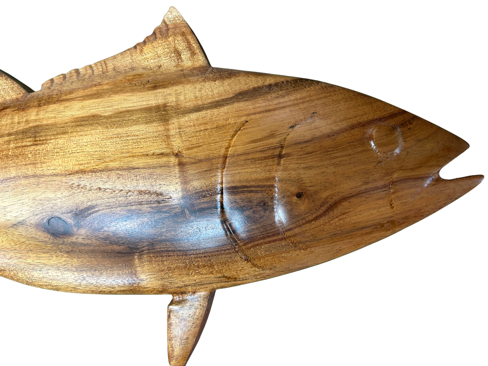 koa ahi 23.5 inches closeup.png