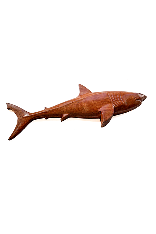 Shark-2.gif