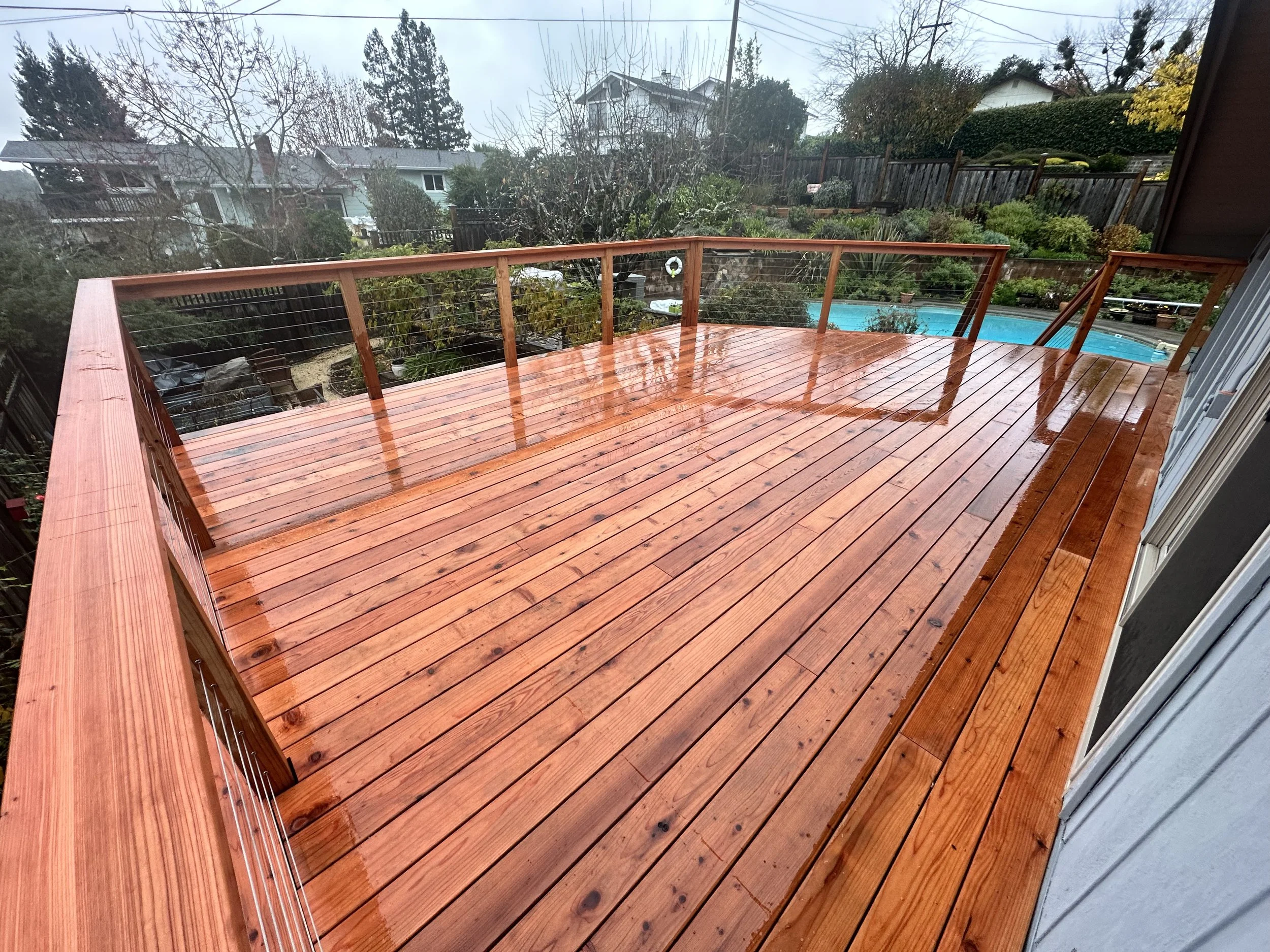 IMG_3263.jpg