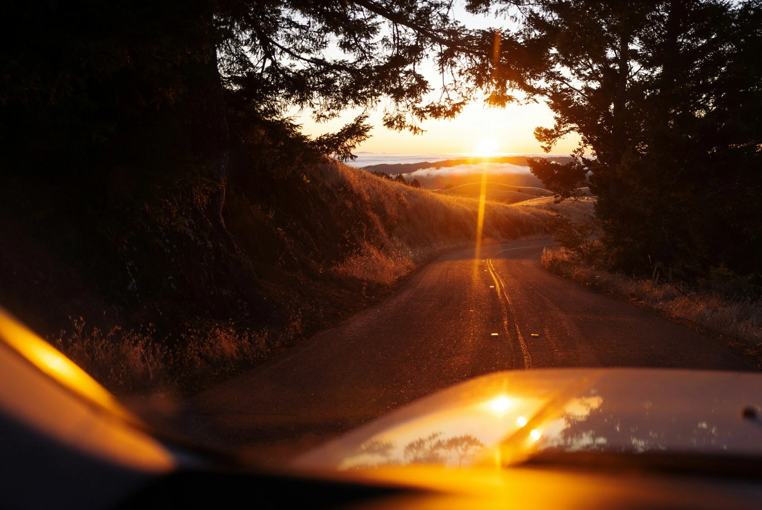 ADSAC and Legal Advice: Can My ADSAC Assessor Provide Me Legal Advice?