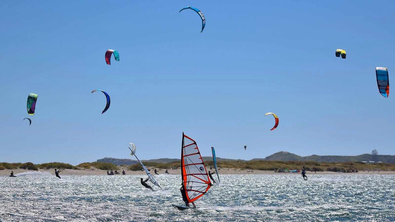 TWA - Dolphins Playing.jpg