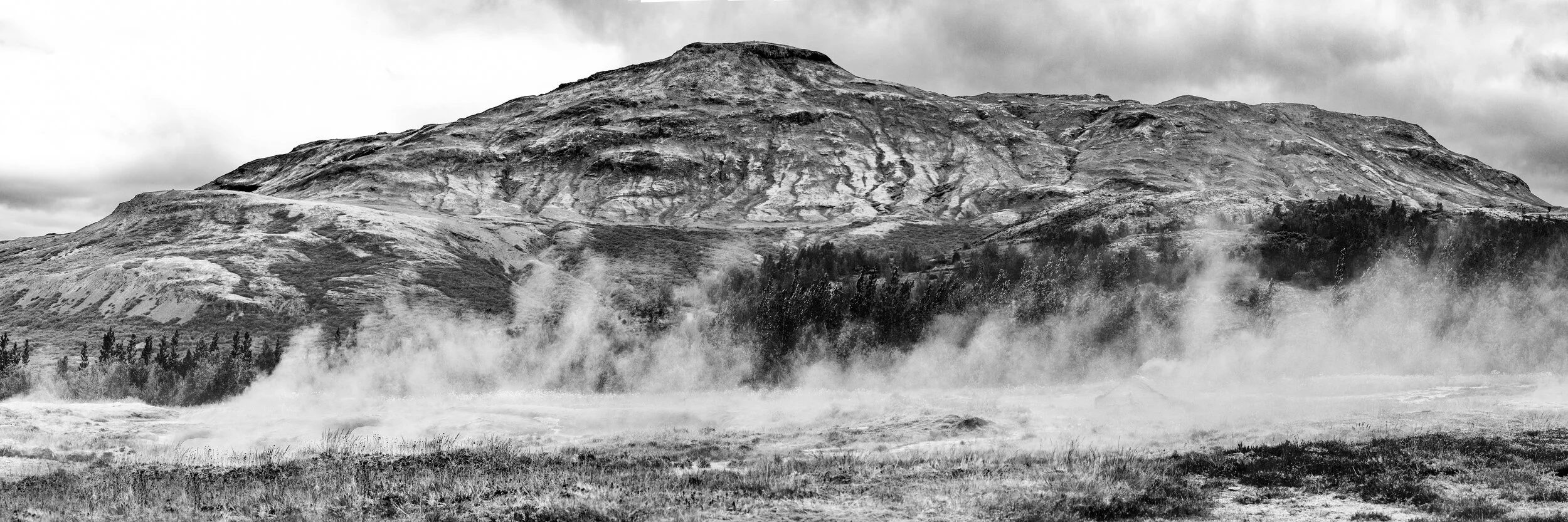 145 Yellow 04 12x36 bnw.jpg