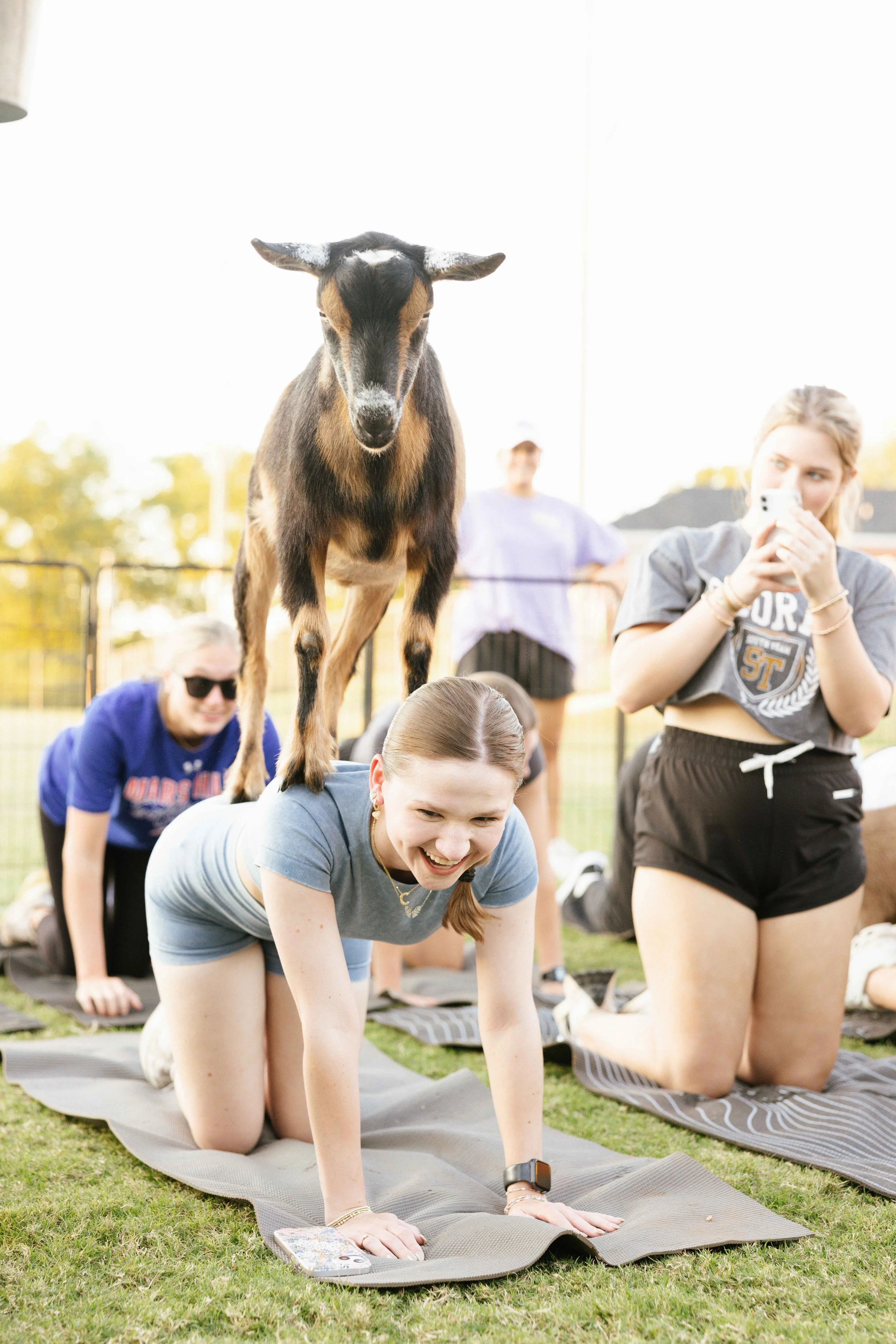 20240919_SGT_0200_goatyoga.jpg