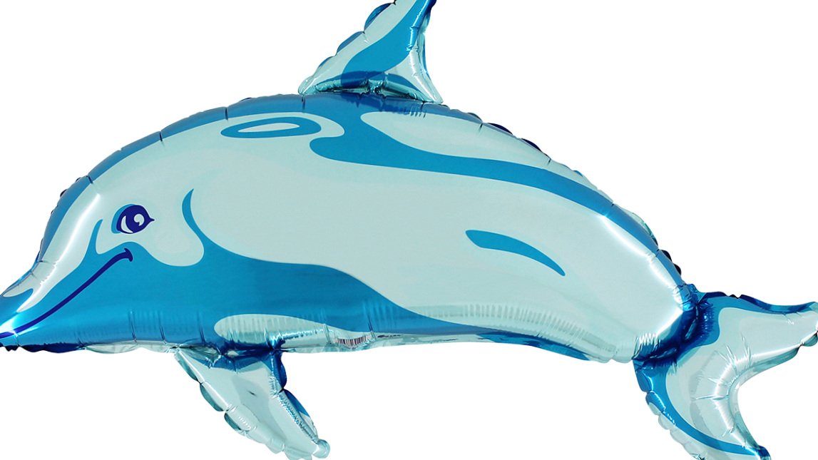 122bdolphinblue.jpg