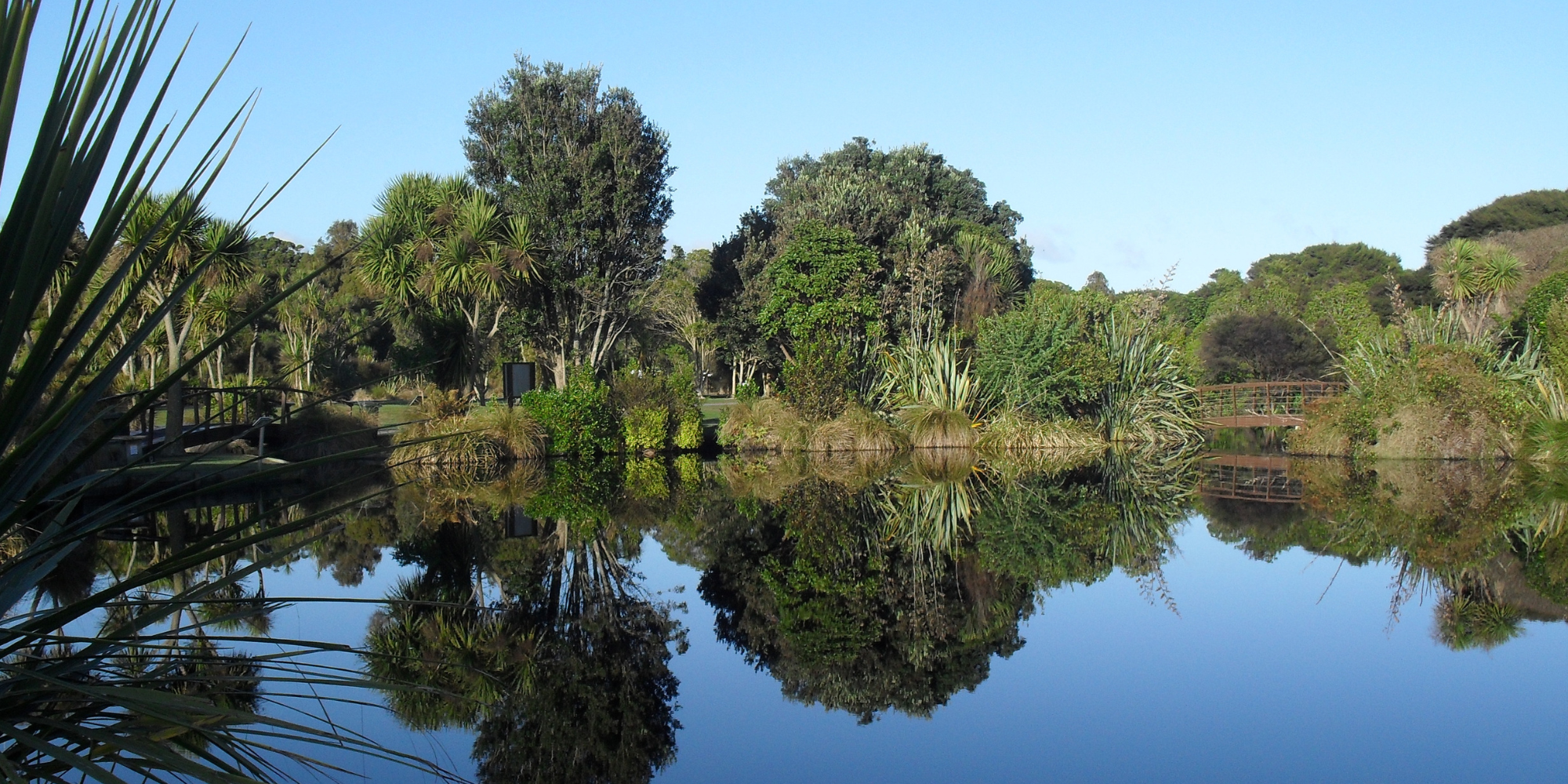 Supporting the next chapter of conservation at Ngā Manu.
