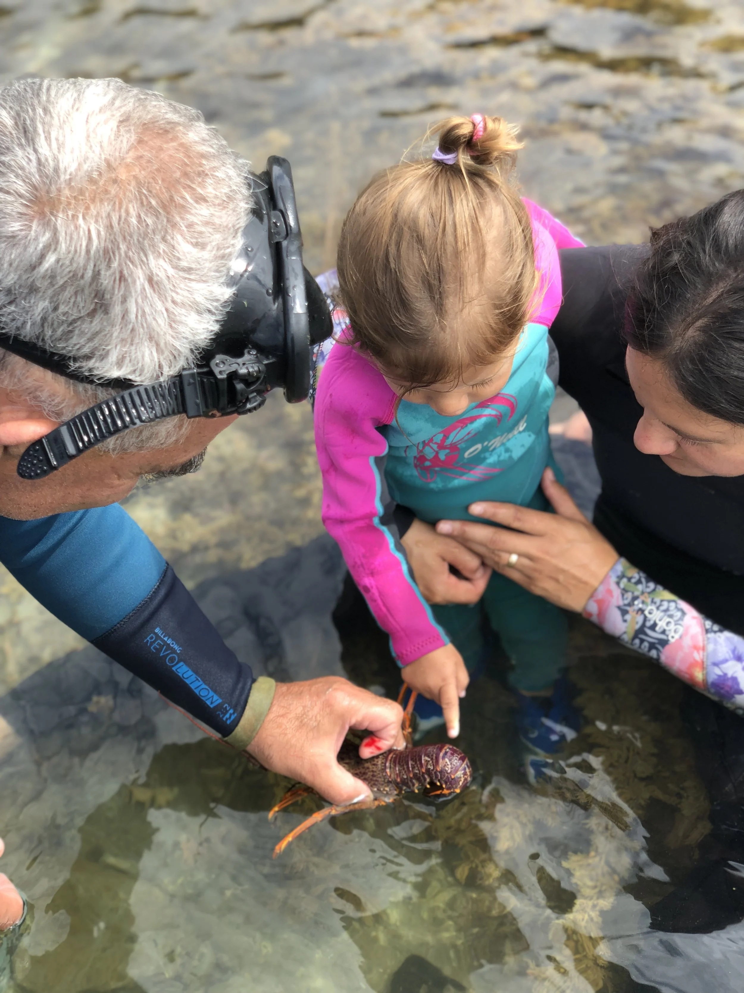 Supporting community wellness through intergenerational connection.