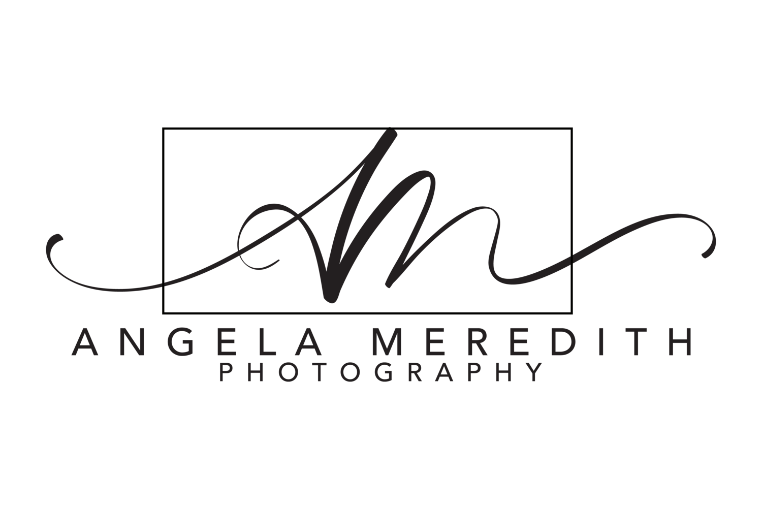 Wedding Photographer