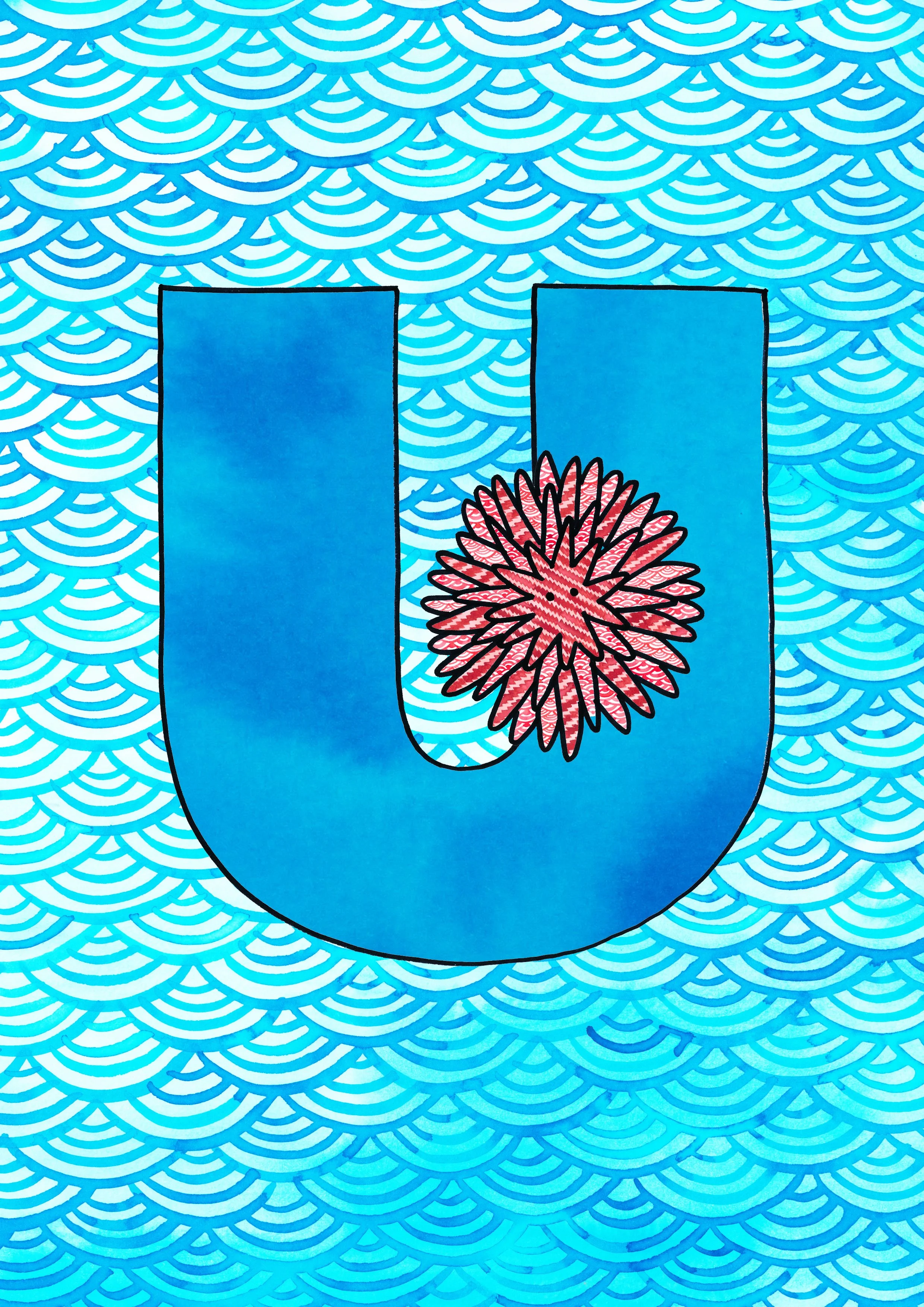 U.jpg