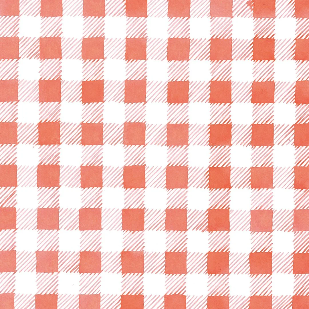 PATTERNS_0006_red gingham.jpg