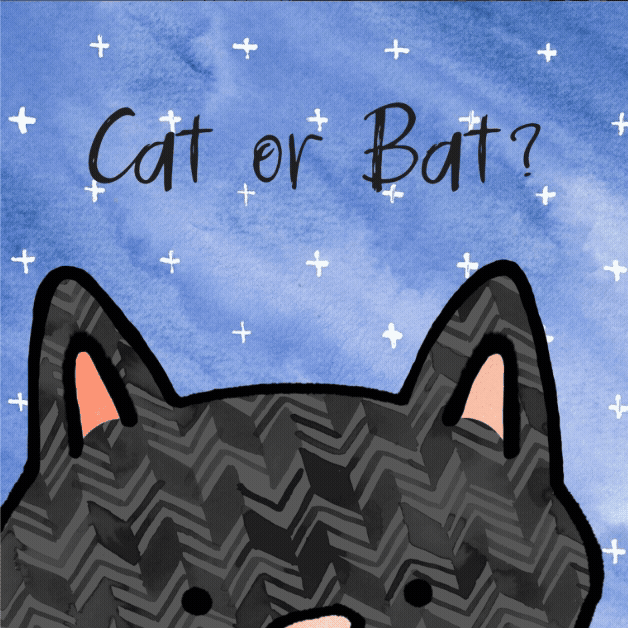Take a guess game for halloween. Do you think this is a cat or a bat?