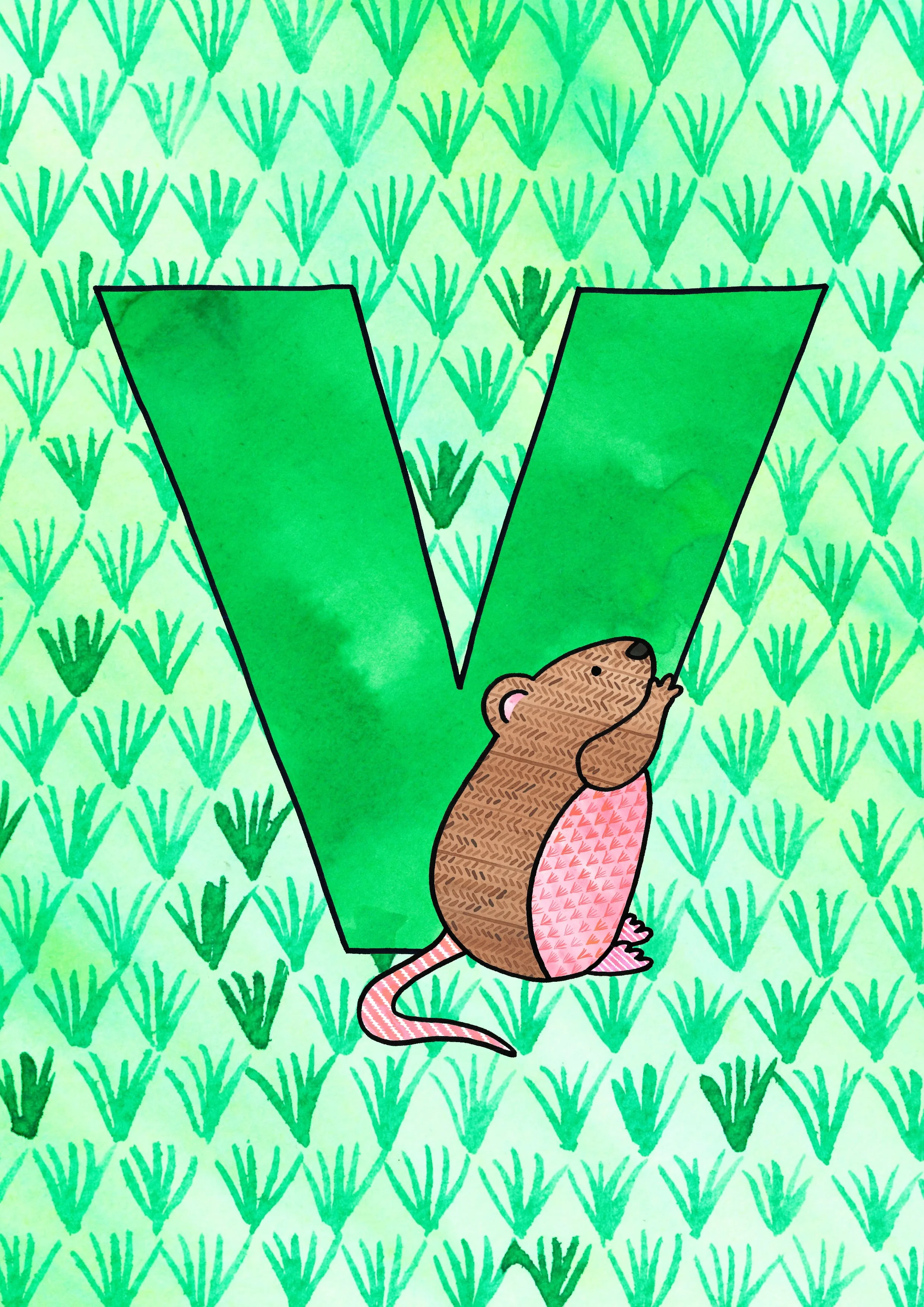 V.jpg