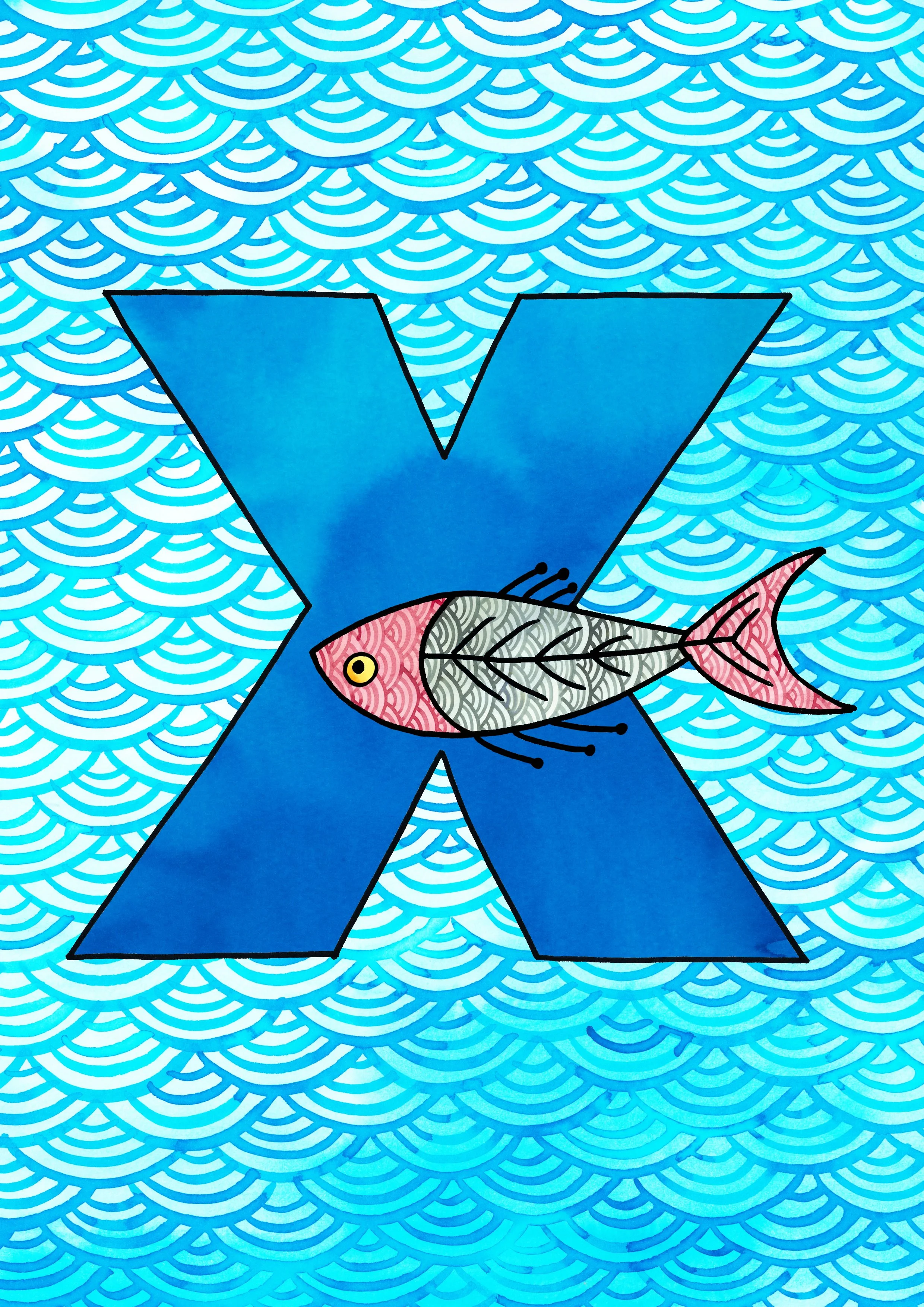 X.jpg