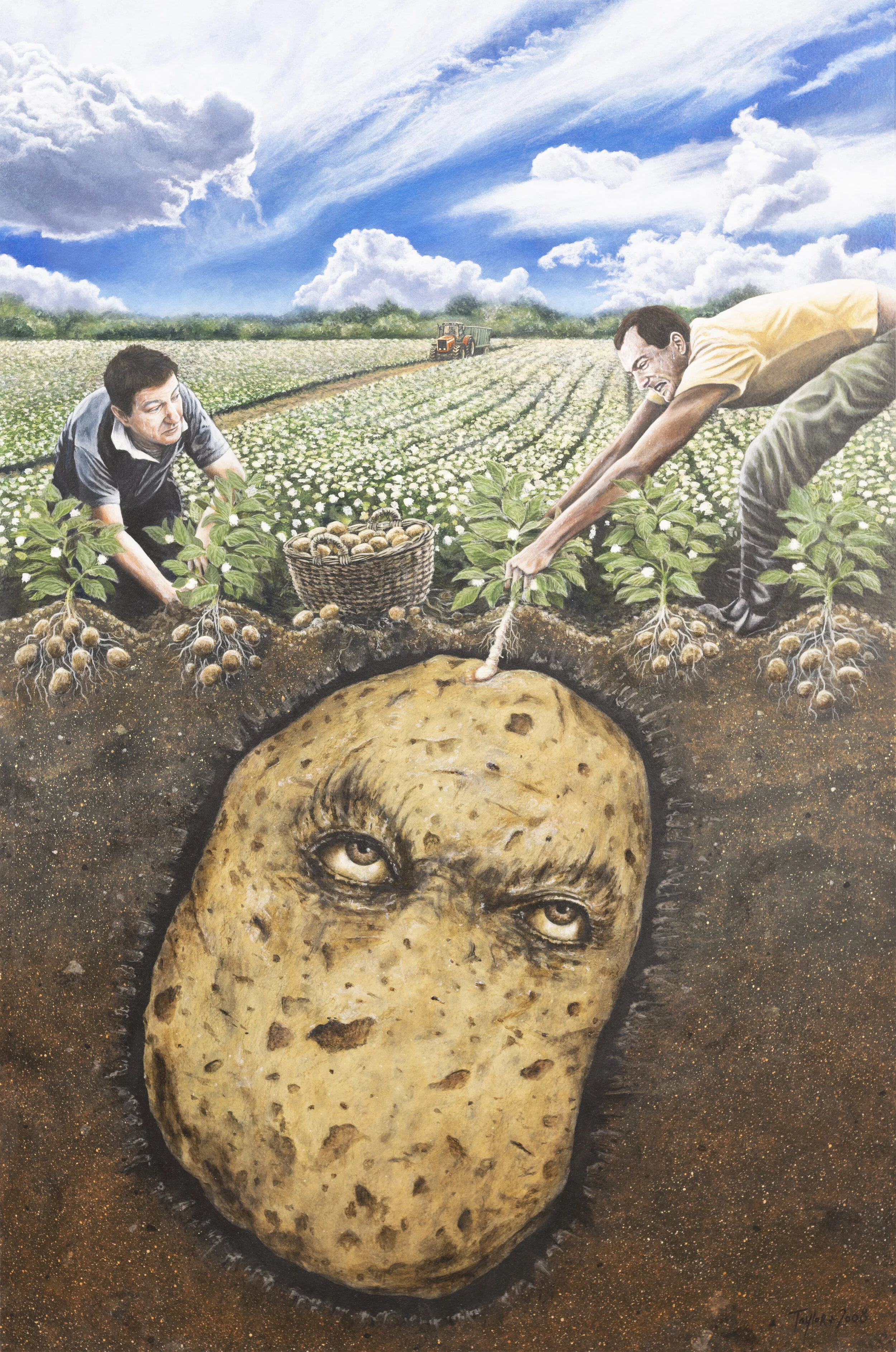 Offline Gallery is a new international contemporary art gallery located in Whitehead, U.K, exhibiting exceptional new artists' of our time. - Big Spud - M. Taylor - Acrylic on board