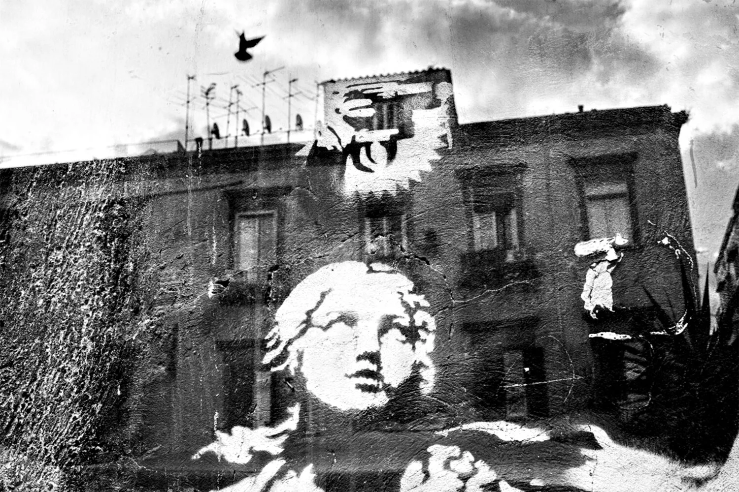 18041501_NAPOLES_4633ajustada copia.jpg