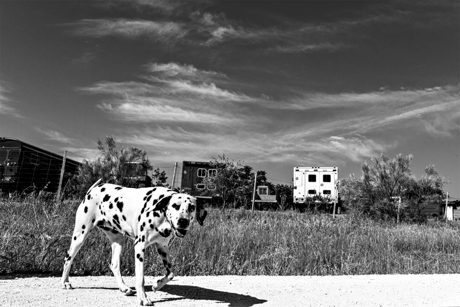 14051801_DSC2352 AJUSTADA V2020 copia.jpg