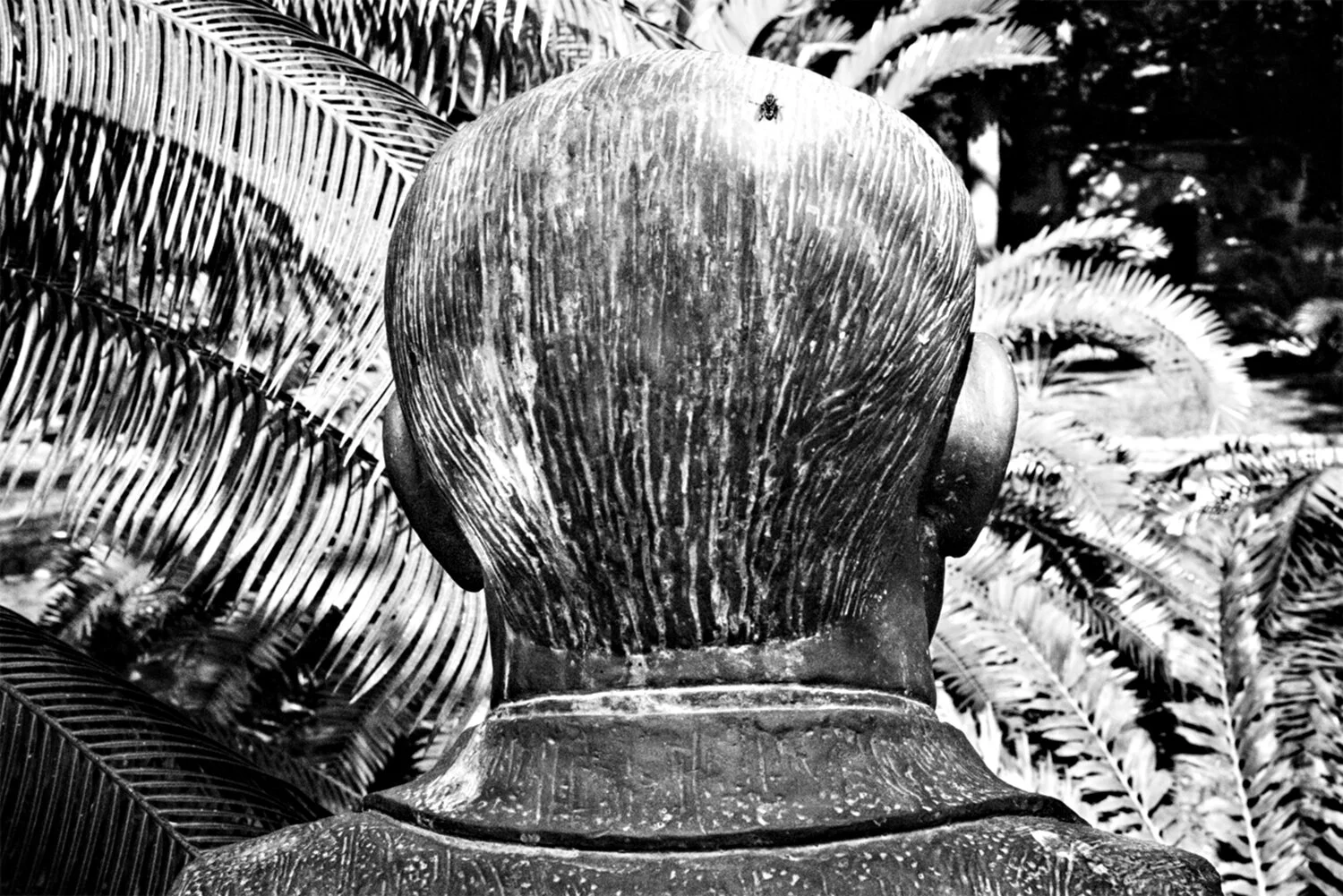 14041501_dsc7412 AJUSTADA V2020 copia.jpg