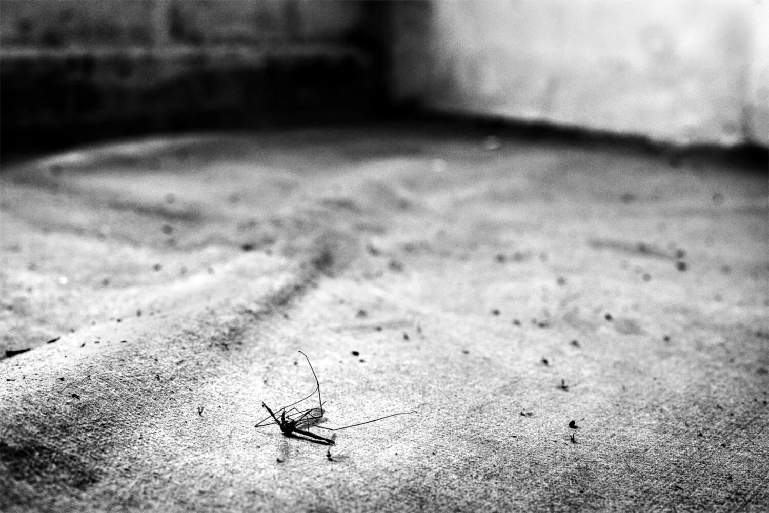 Untitled - Sin título