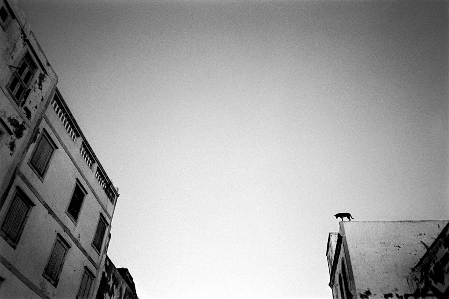 Untitled - Sin título