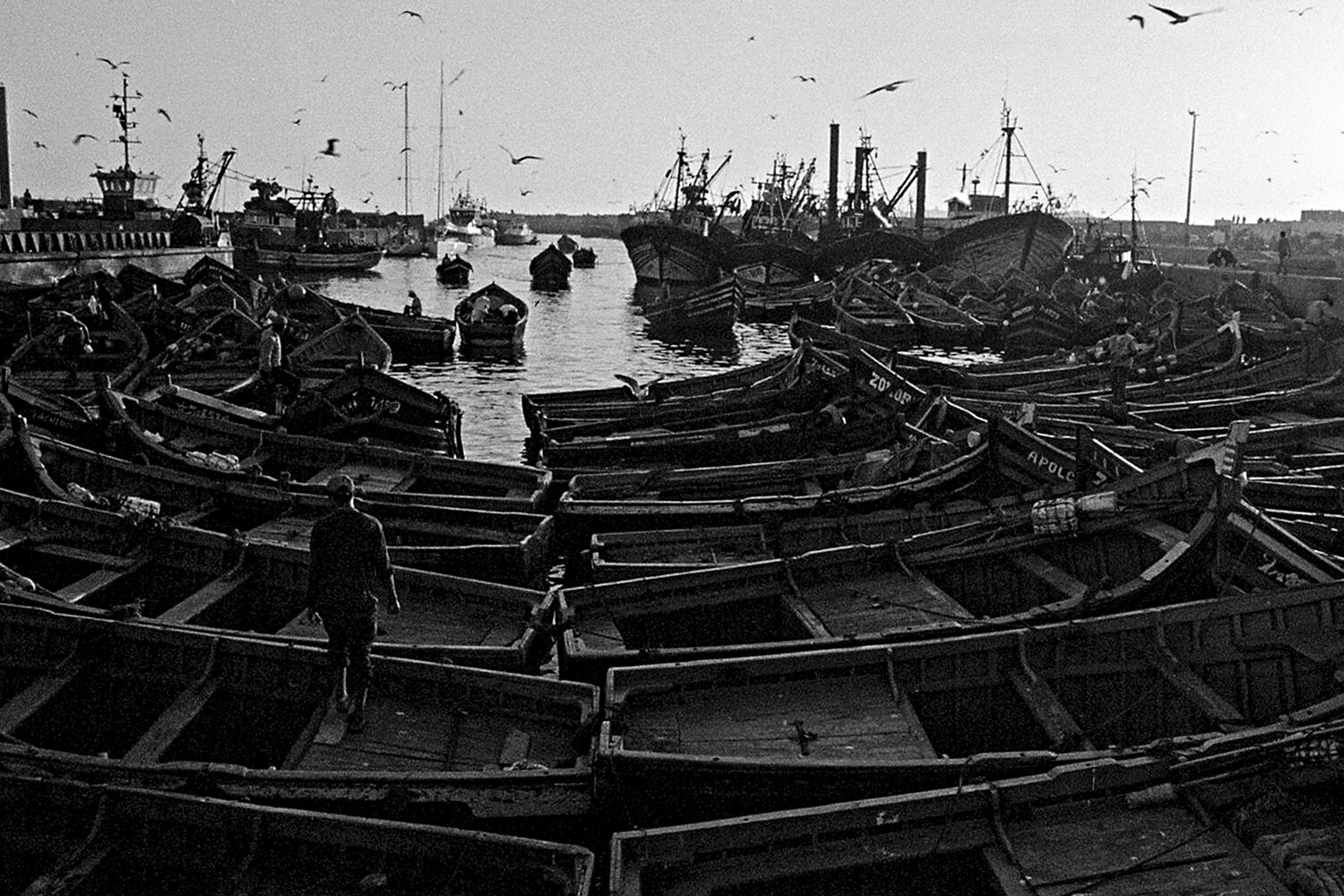 Untitled - Sin título