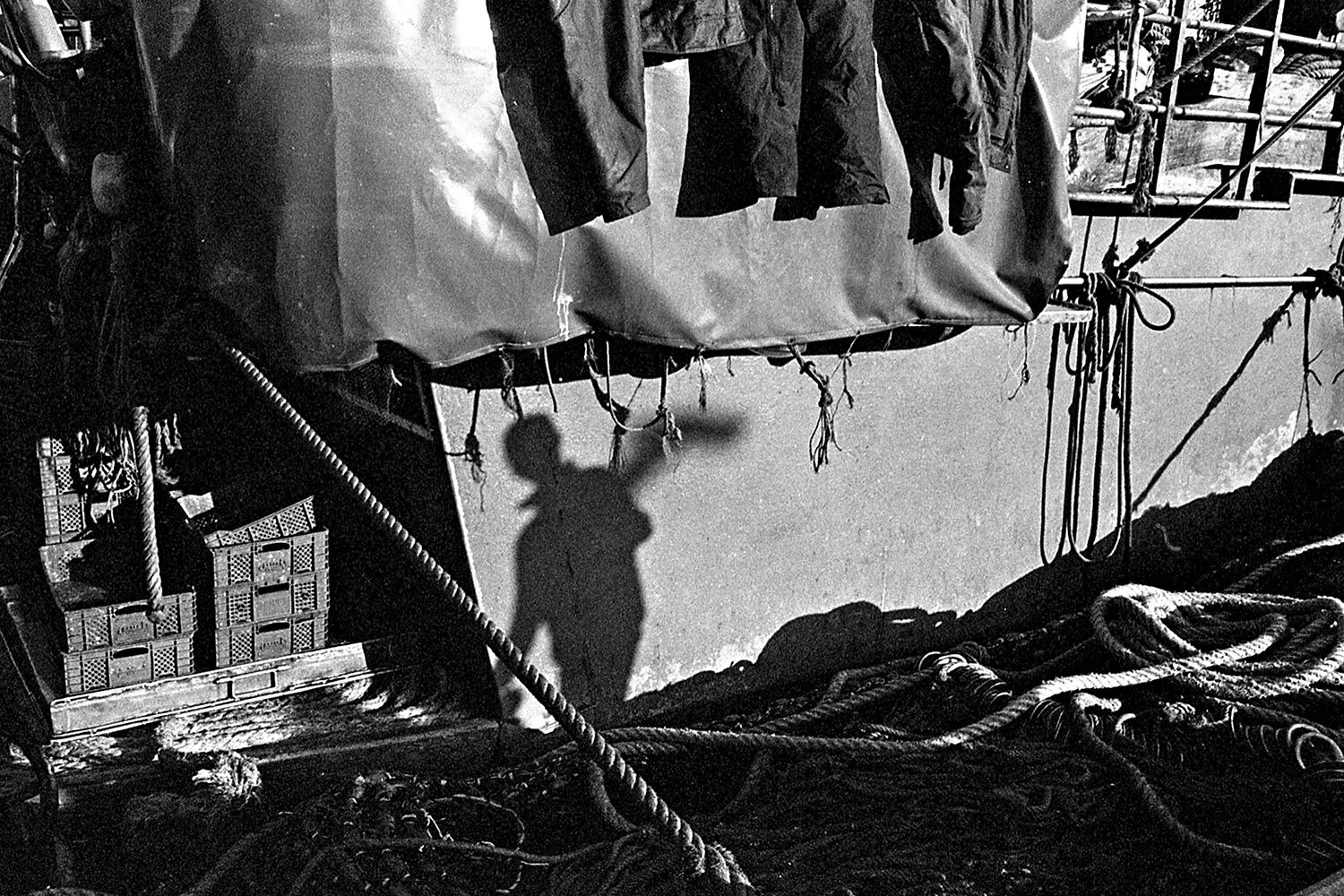 Untitled - Sin título