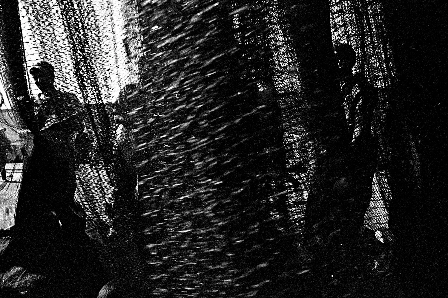 Untitled - Sin título