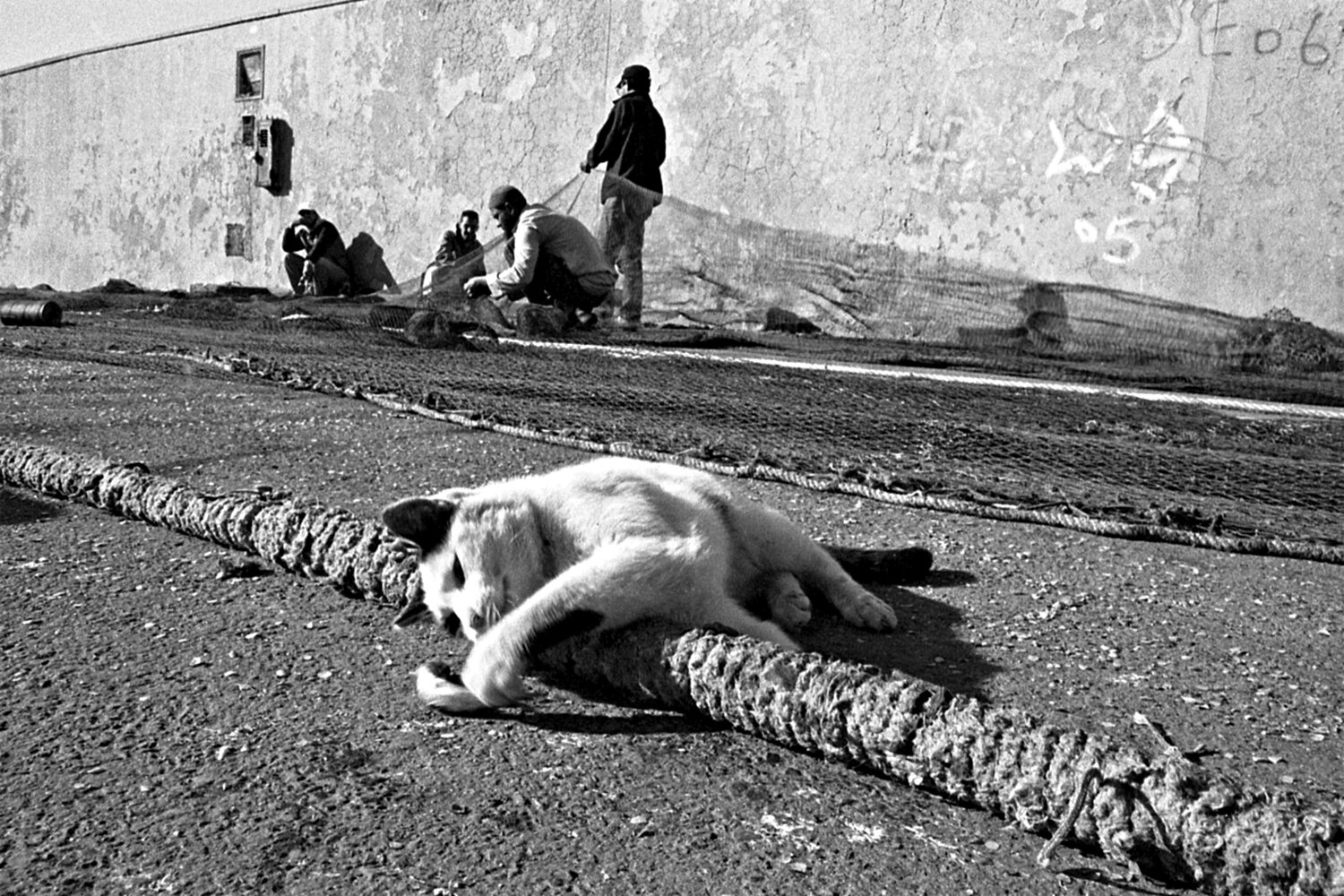 Untitled - Sin título