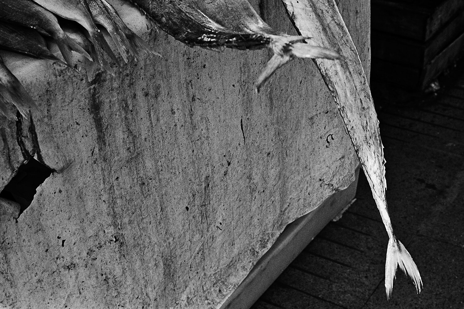 Untitled - Sin título