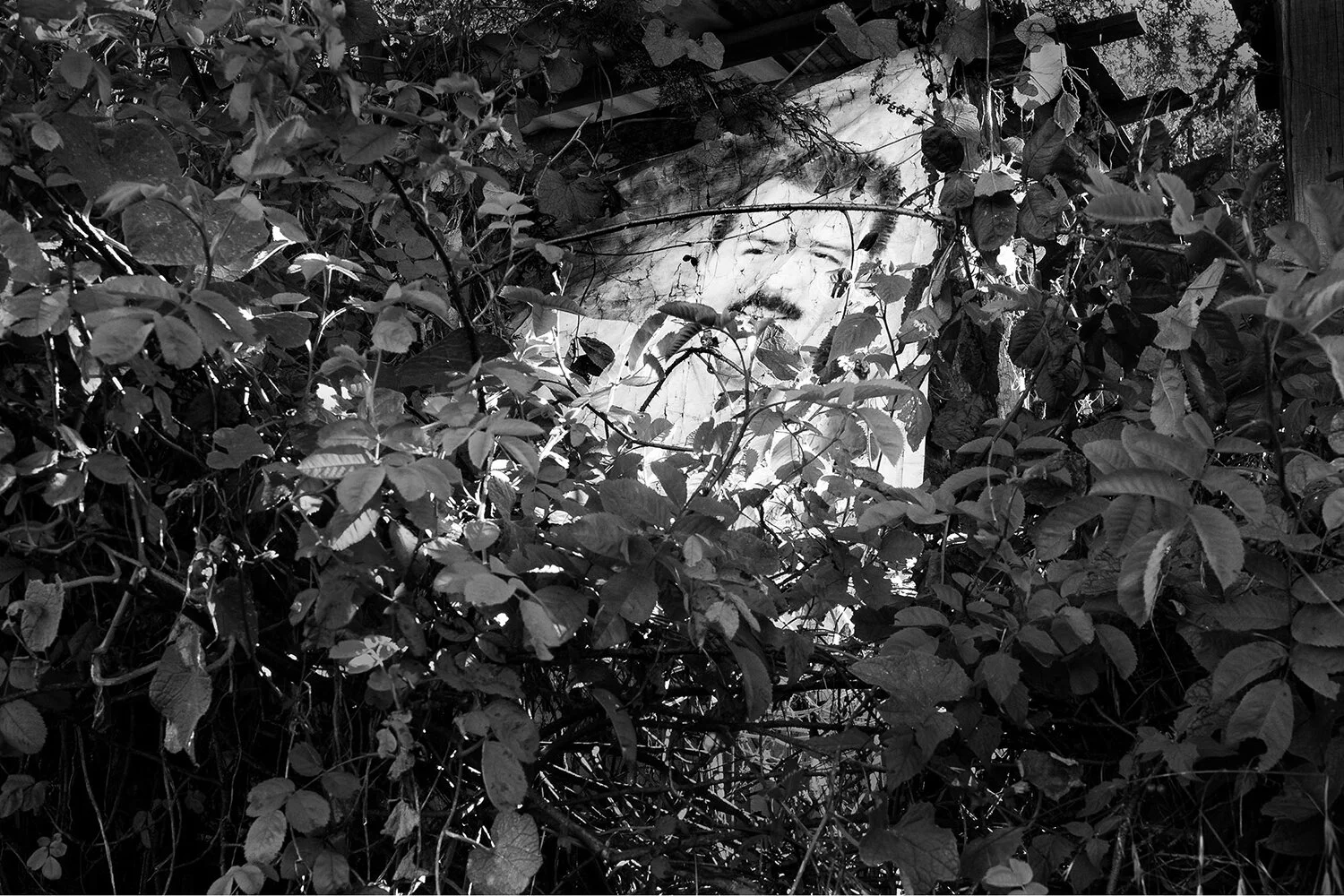 Untitled - Sin título