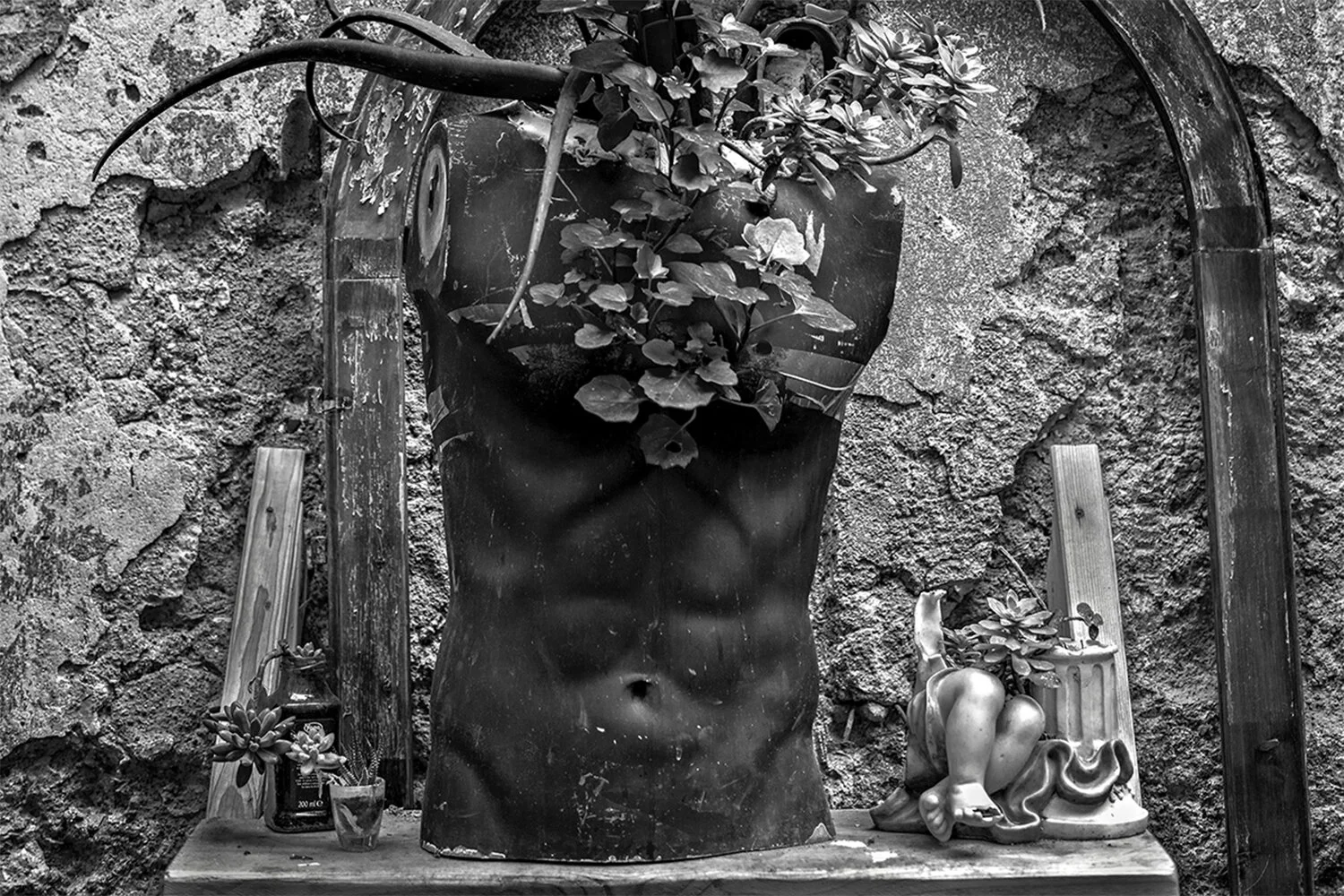 Untitled - Sin título